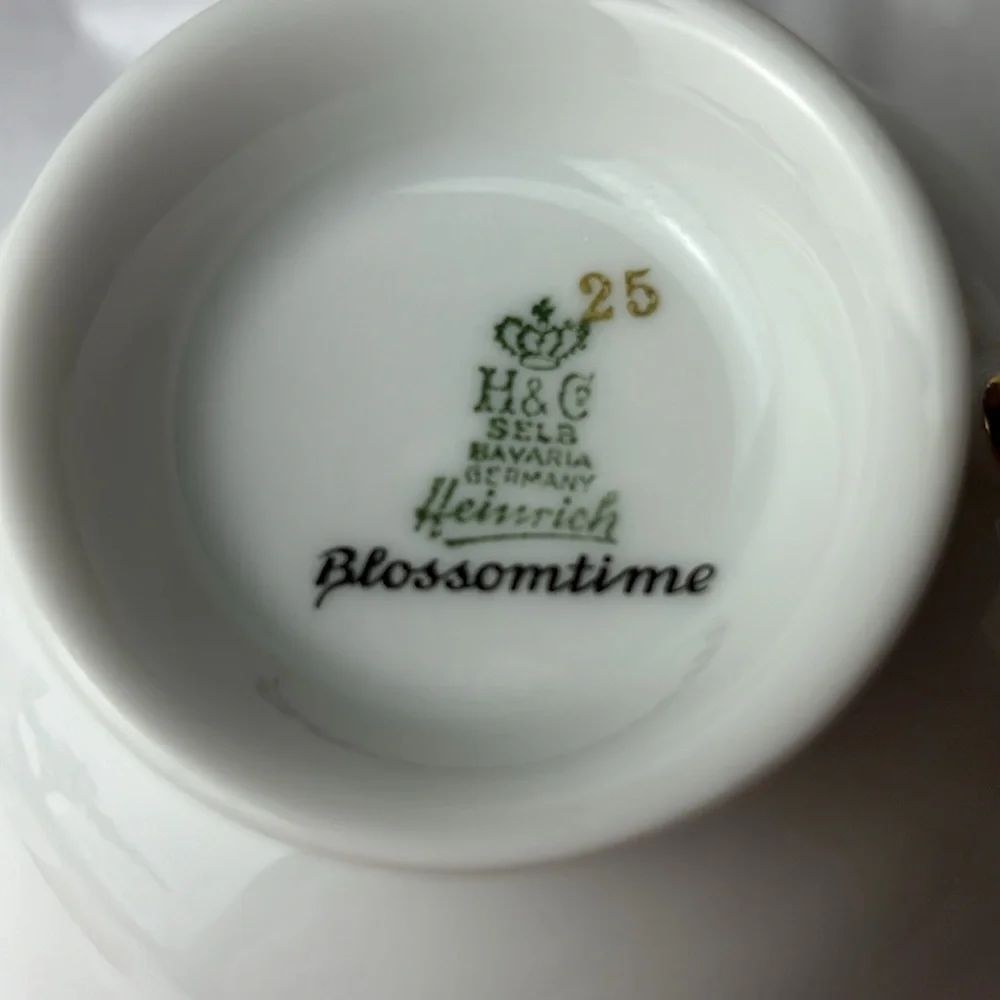 H & Co Selb Bavaria Germany Heinrich BLOSSOMTIME Pattern tea cup & saucer number